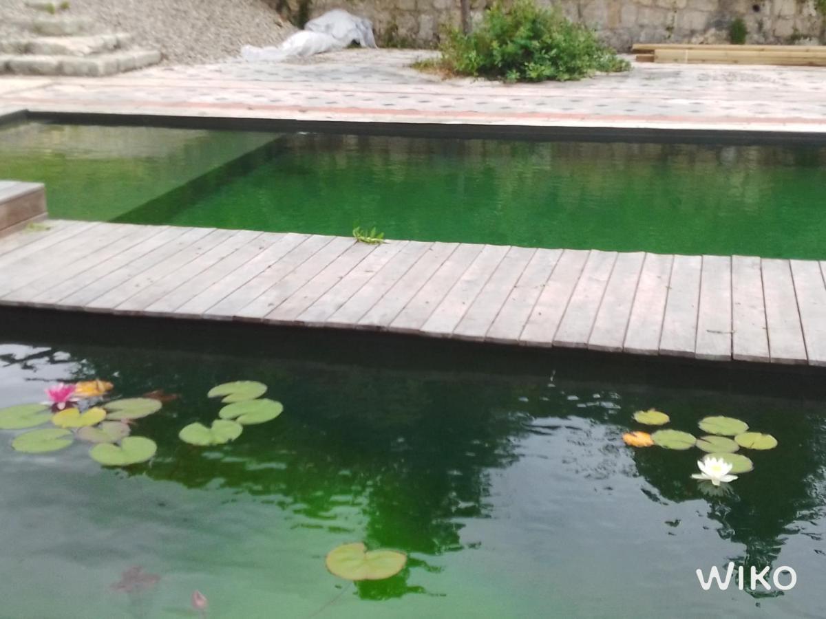 Gite Les Cabanes De Fallot Pour 15 Personnes - Piscine Naturelle L'isle-Bouzon Exterior photo